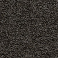 5714 Shark Grey Coral Brush Mat 2.05x3.00